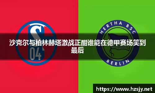 沙克尔与柏林赫塔激战正酣谁能在德甲赛场笑到最后